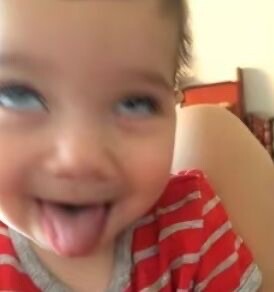 IMG_0562.jpeg.2572df29ae4f2942186a2f9478d81a08.jpeg