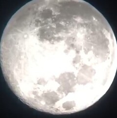 Caneloni68