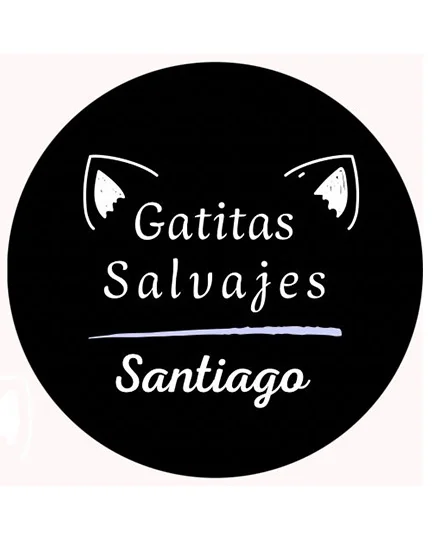 Agencia Gatitas Salvajes escort en santiago